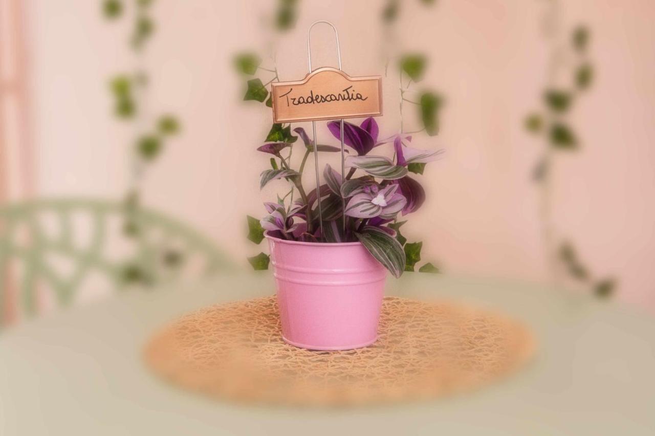 Appartamento Charming And Cozy House Nettuno Esterno foto